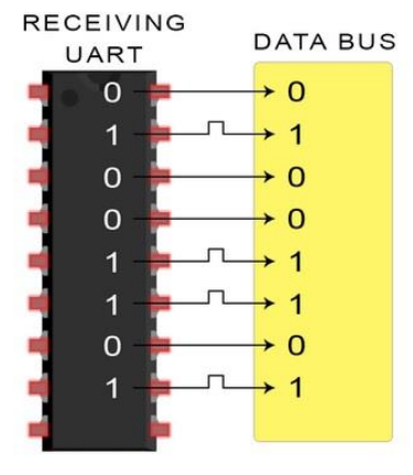 image-20240606012739497